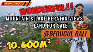 10,600 m2 LAND SALE IN Baturiti Tabanan BALI TJTB875