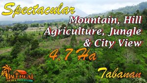 Magnificent 47,000 m2 LAND FOR SALE IN TABANAN TJTB879
