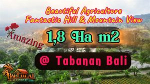 18,000 m2 LAND IN Baturiti Tabanan BALI FOR SALE TJTB880