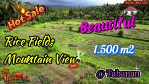 Magnificent PROPERTY LAND SALE IN Penebel Tabanan TJTB881